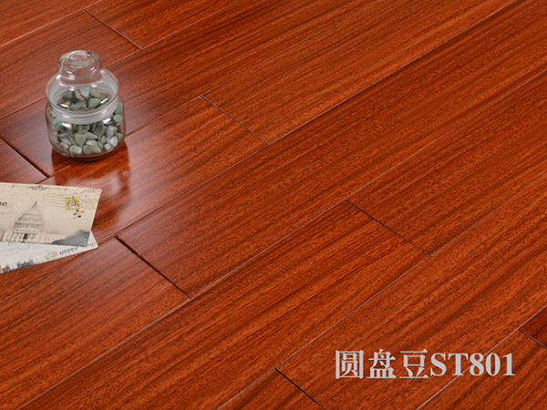 生態(tài)圓盤(pán)豆