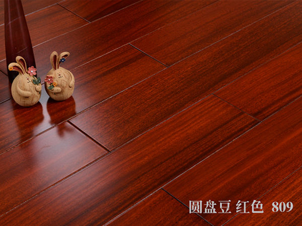 圓盤(pán)豆紅色